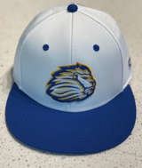 Baseball Team Hat '26