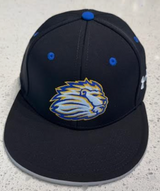 Baseball Team Hat '26