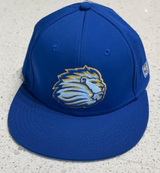 Baseball Team Hat '26