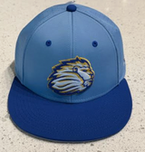 Baseball Team Hat '26